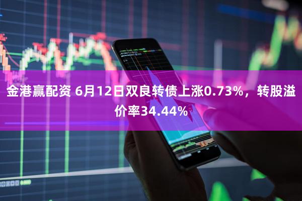 金港赢配资 6月12日双良转债上涨0.73%，转股溢价率34.44%
