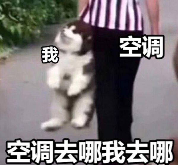 天创优配 “小黄”又来了，请做好防暑防晒工作！