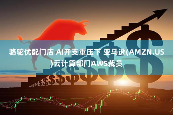 骆驼优配门店 AI开支重压下 亚马逊(AMZN.US)云计算部门AWS裁员