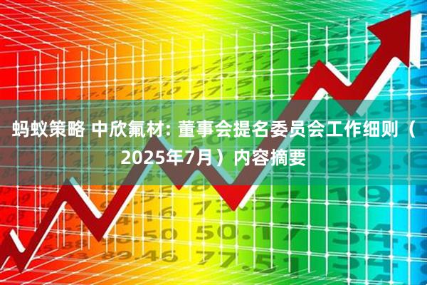 蚂蚁策略 中欣氟材: 董事会提名委员会工作细则（2025年7月）内容摘要